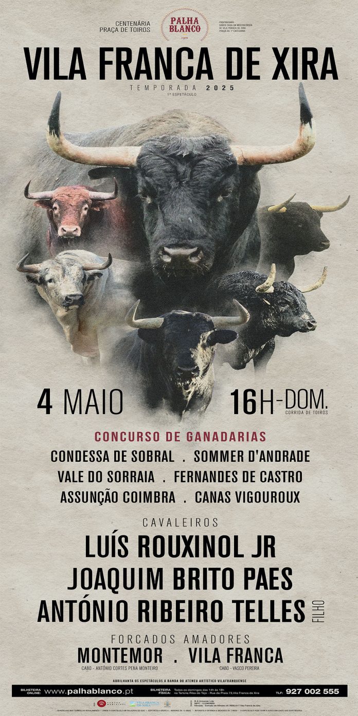 Cartaz_Concurso_Roll-up_VFX 2025