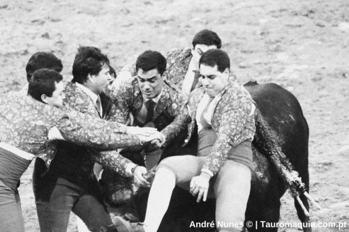 Corrida-de-Evora 29-de-junho-13