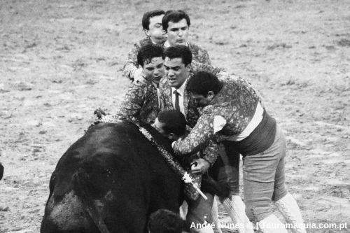 Corrida-de-Evora 29-de-junho-14