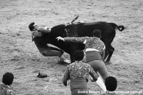 Corrida-de-Evora 29-de-junho-7