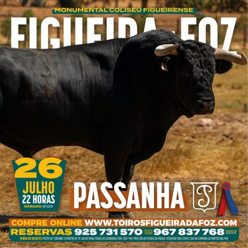 Imagem-WhatsApp-2025-07-25-as-13.15.13 f32e5544