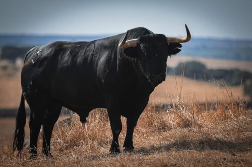 Imagem-WhatsApp-2025-09-04-as-08.04.27 79f31b8a