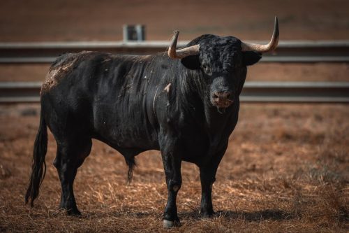 Imagem-WhatsApp-2025-09-04-as-08.04.27 dfd34b6a