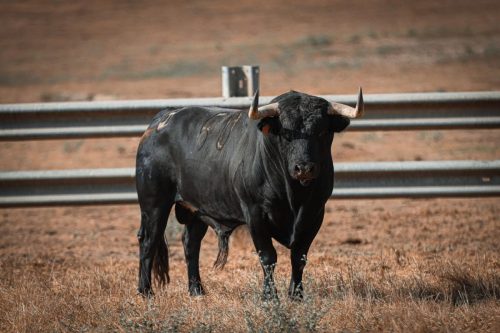 Imagem-WhatsApp-2025-09-04-as-08.04.27 fbbfea07