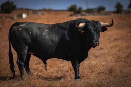 Imagem-WhatsApp-2025-09-12-as-17.05.29 3d63fb5b