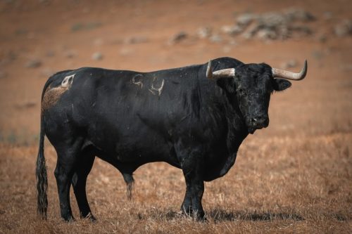 Imagem-WhatsApp-2025-09-12-as-17.05.30 2d4e701c