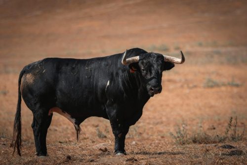 Imagem-WhatsApp-2025-09-12-as-17.05.30 87b8976b