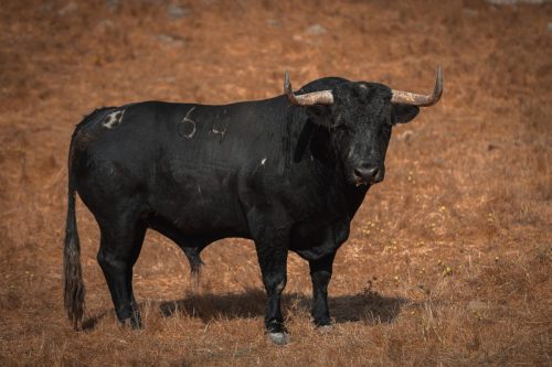 Imagem-WhatsApp-2025-09-12-as-17.05.30 9ae83797