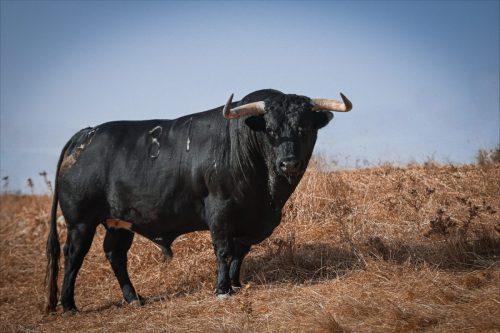 Imagem-WhatsApp-2025-09-12-as-17.05.30 d1d0bdb3