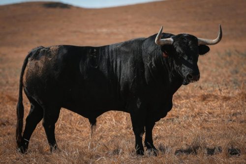 Imagem-WhatsApp-2025-09-12-as-17.05.30 e87599c2